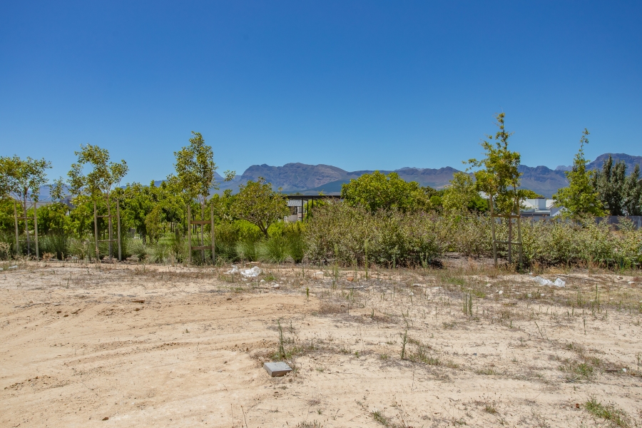 0 Bedroom Property for Sale in Lemoenkloof Western Cape